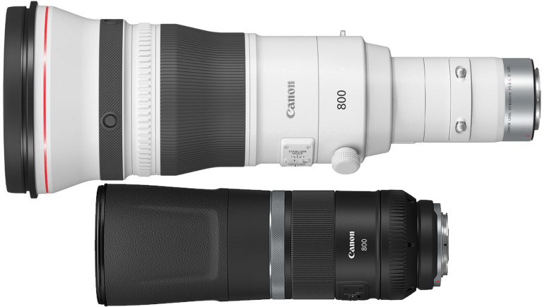 Canon RF 800mm F5.6L IS USM et RF 800mm F11 IS STM