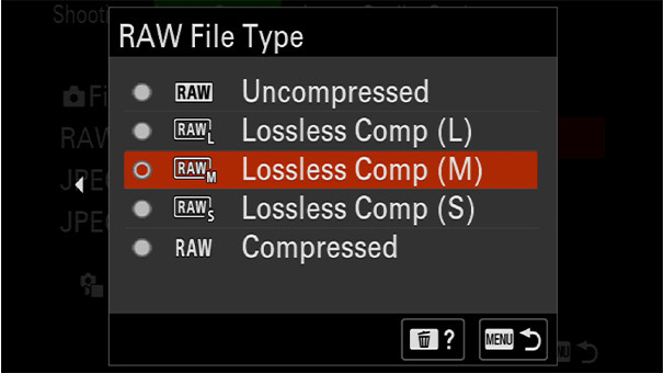 Choix de la définition des RAW sur l'A7R V