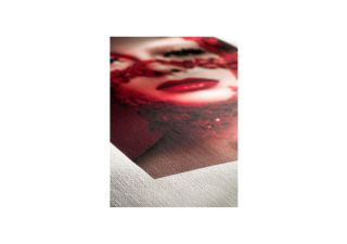 Hahnemuhle Papier photo Cézanne Canvas 60"x12 m - 430g