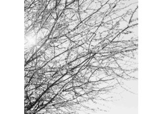 Rollei RPX 100 film noir & blanc 35mm x 30,5m