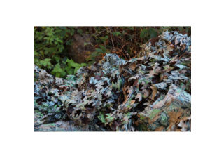 Tragopan filet de camouflage 3x6m réversible sous-bois / marron