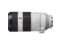 Sony FE 100-400mm f/4.5-5.6 GM OSS